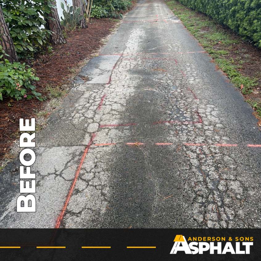 Cracked asphalt drive lane between hedges with repair areas marked in orange paint