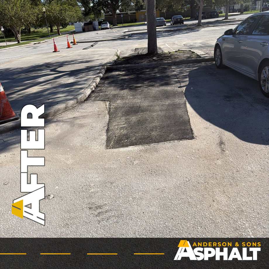 New asphalt patch at the end of a tree island in a park parking lot